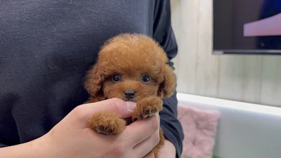 お問合せネーム・768くんの写真 4