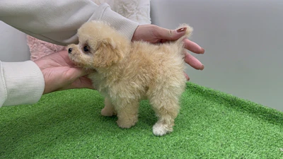 お問合せネーム・427くんの写真 7