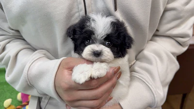 お問合せネーム・119ちゃん