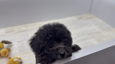 お問合せネーム・037ちゃんの写真 5