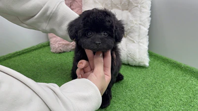 お問合せネーム・532ちゃんの写真 3