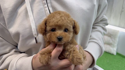 お問合せネーム・532くんの写真 3