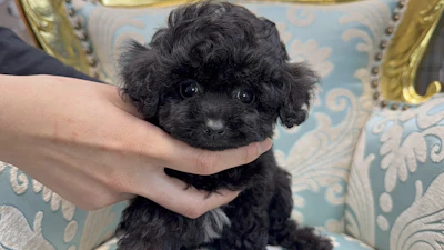 お問合せネーム542ちゃんの写真 2