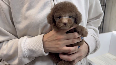 問い合わせネーム・566ちゃん