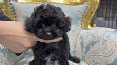 お問合せネーム542ちゃん