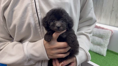 お問合せネーム・179ちゃんの写真 2