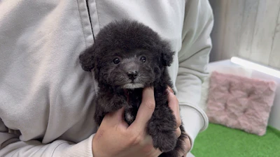 お問合せネーム・372ちゃんの写真 2