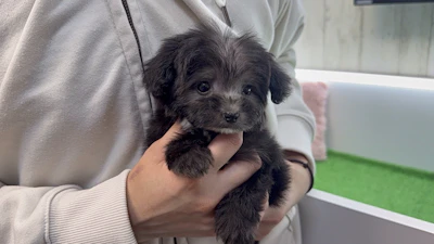 お問合せネーム・800ちゃんの写真 5