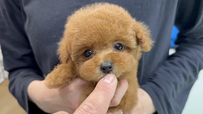 お問合せネーム・654ちゃんの写真 2