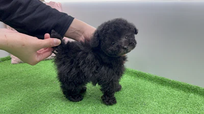 お問合せネーム・539くんの写真 6