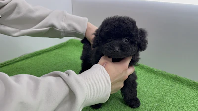 お問合せネーム・134ちゃんの写真 5