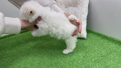 お問合せネーム・237ちゃんの写真 6