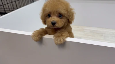 お問合せネーム ・530くんの写真 2