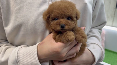 お問合せネーム・384ちゃんの写真 2