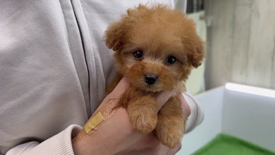 お問合せネーム・192ちゃんの写真 4