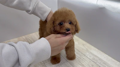 お問合せネーム・539ちゃんの写真 5