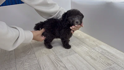 お問合せネーム・708ちゃんの写真 6