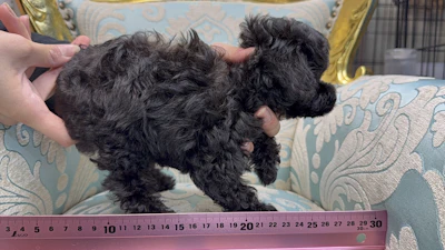 お問合せネーム542ちゃんの写真 4