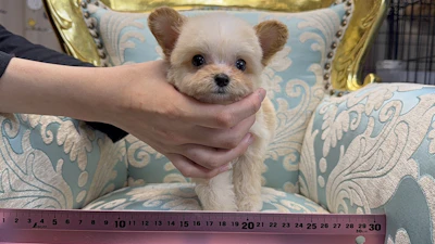 お問合せネーム・879ちゃんの写真 3