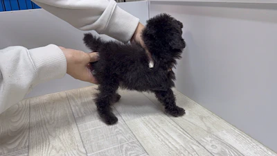 お問合せネーム・038ちゃんの写真 6