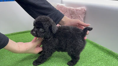 お問合せネーム・432くんの写真 7