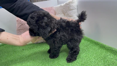 お問合せネーム・582ちゃんの写真 5