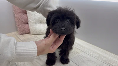 お問合せネーム・048ちゃんの写真 4