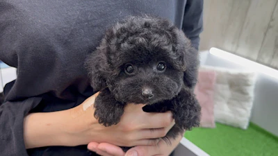 お問合せネーム・582ちゃんの写真 2