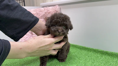 お問合せネーム・869ちゃんの写真 2