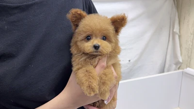 お問合せネーム・005ちゃんの写真 3