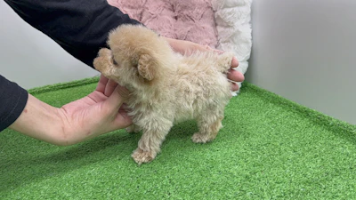 お問合せネーム628くんの写真 4