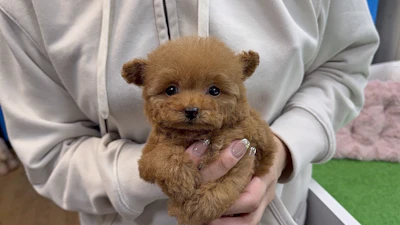 お問合せネーム・691くんの写真 5