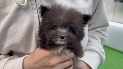 お問合せネーム・236ちゃんの写真 3