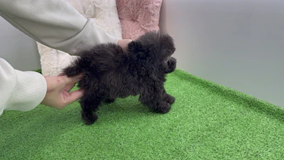 お問合せネーム・762くんの写真 7