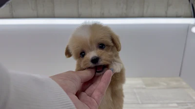 お問合せネーム・061くんの写真 6
