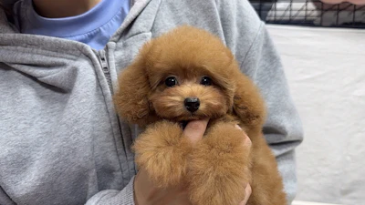お問合せネーム・539ちゃんの写真 2