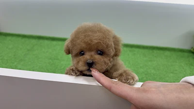 お問合せネーム・587ちゃんの写真 2