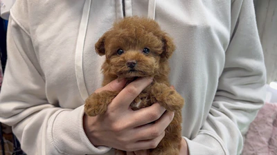 お問合せネーム・888ちゃんの写真 2