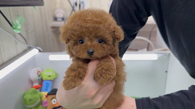 お問合せネーム・480ちゃんの写真 2