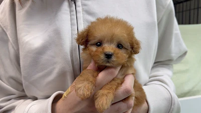 お問合せネーム・192ちゃんの写真 3