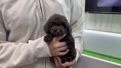 お問合せネーム・660ちゃんの写真 7