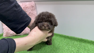 お問合せネーム・869ちゃんの写真 3