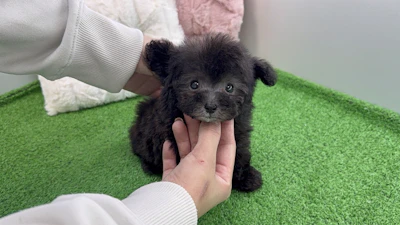 お問合せネーム・762くんの写真 3