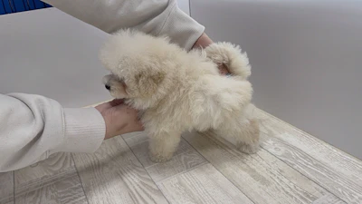 お問合せネーム・143ちゃんの写真 8