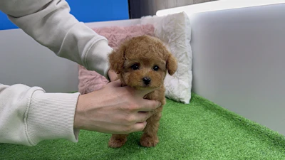 お問合せネーム・532くんの写真 5