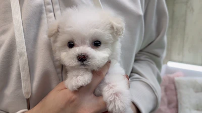 お問合せネーム・237ちゃんの写真 4