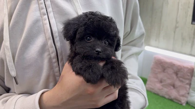 お問合せネーム・532ちゃんの写真 6