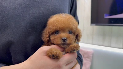 お問合せネーム・768くんの写真 3