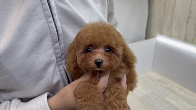 お問合せネーム・538ちゃんの写真 8
