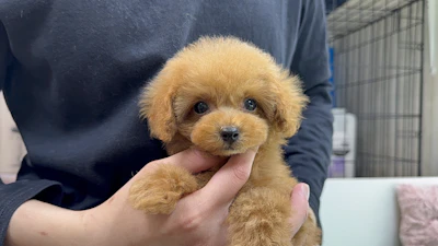 お問合せネーム・030ちゃんの写真 2